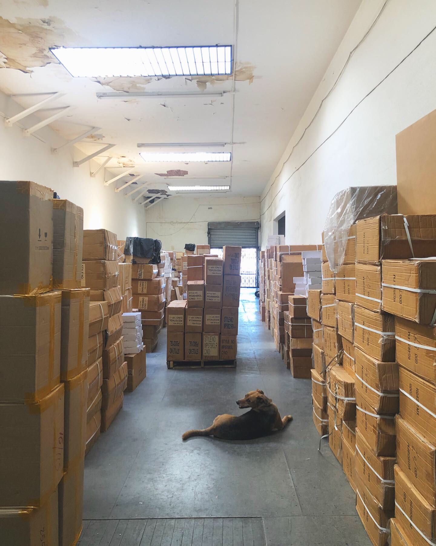 NEWS — Our Warehouse (Storefront)